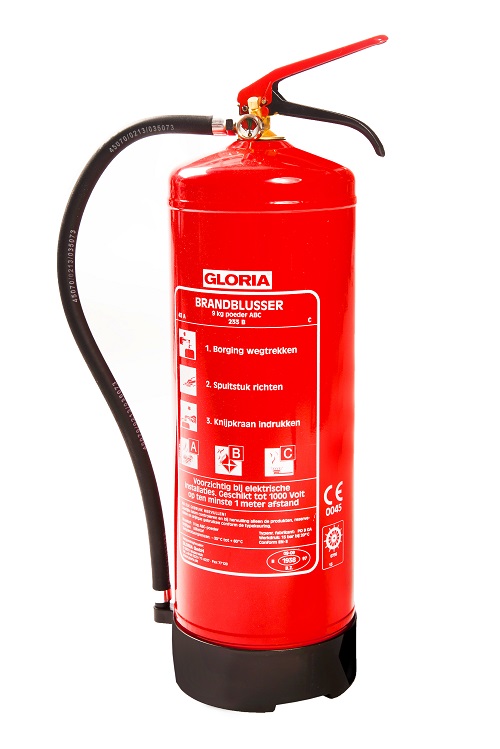 PD9_Gloria